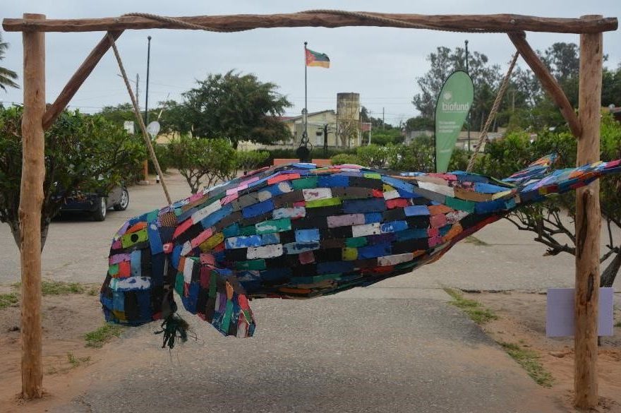 The Mozambique Biodiversity Exhibition