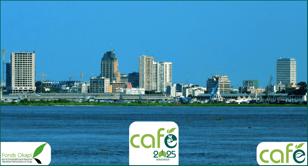 15th CAFÉ General Assembly Heads to Kinshasa – Register Now!