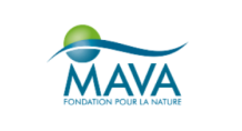 Mava