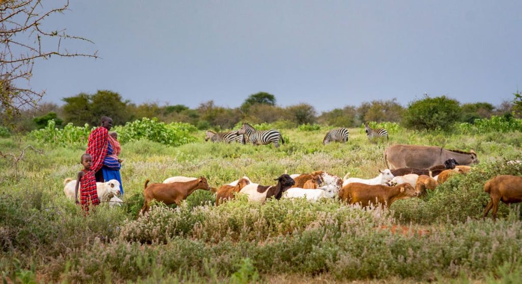 The Kinshasa Declaration: A Unified Commitment for Nature and People