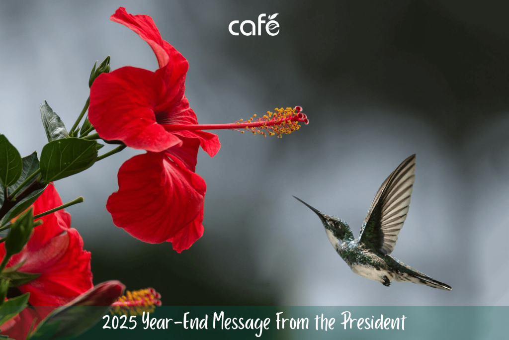 Year-End Message from the CAFÉ President